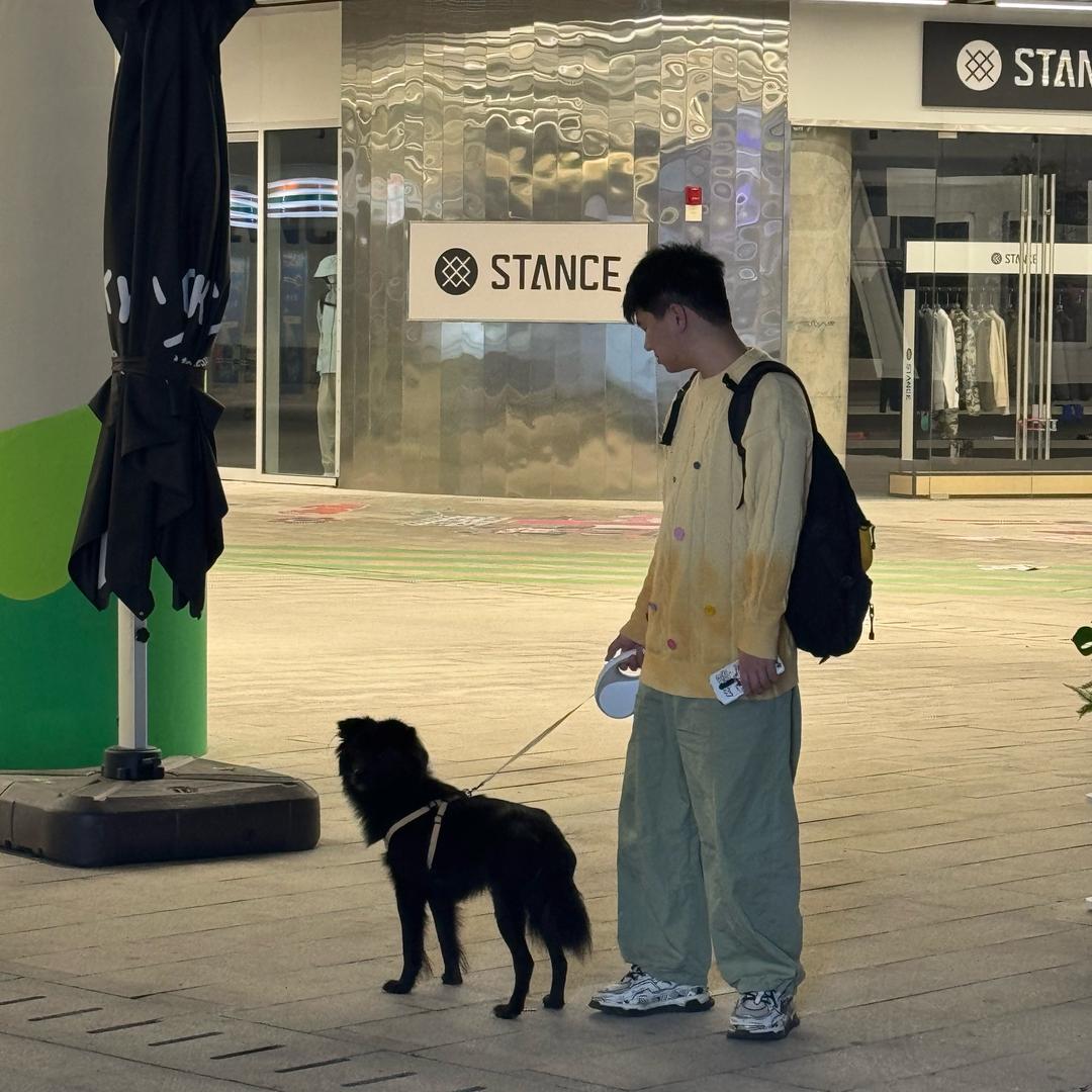 丢了娃娃的鱼