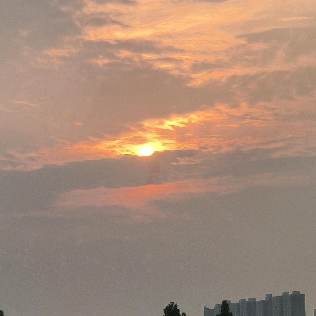 大涛哥168