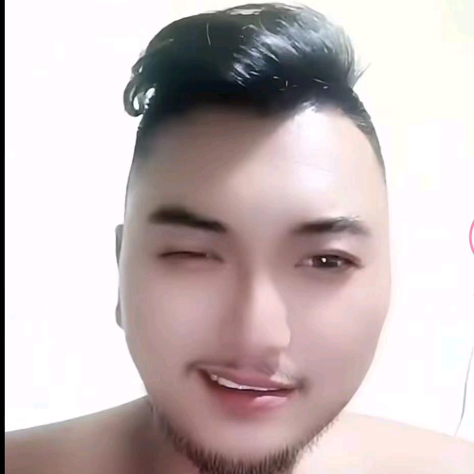 飞花逐月