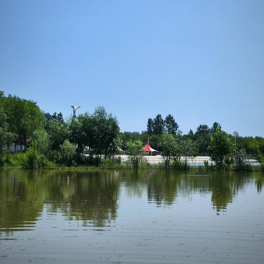 欲上青天揽明月