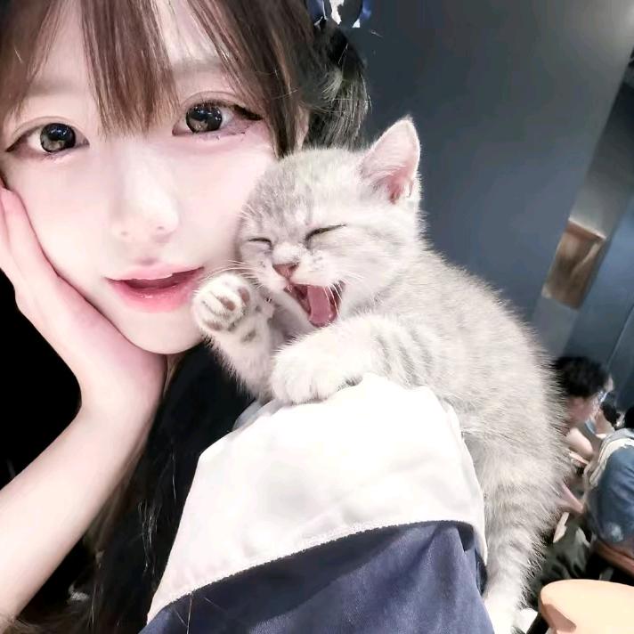 羊咩咩