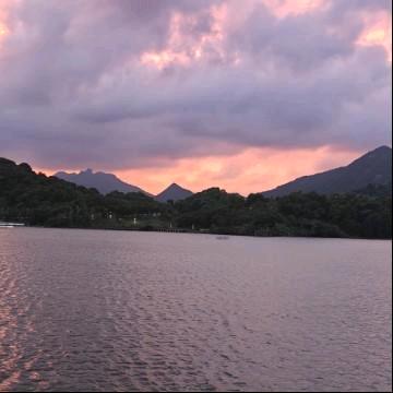 风雨同舟