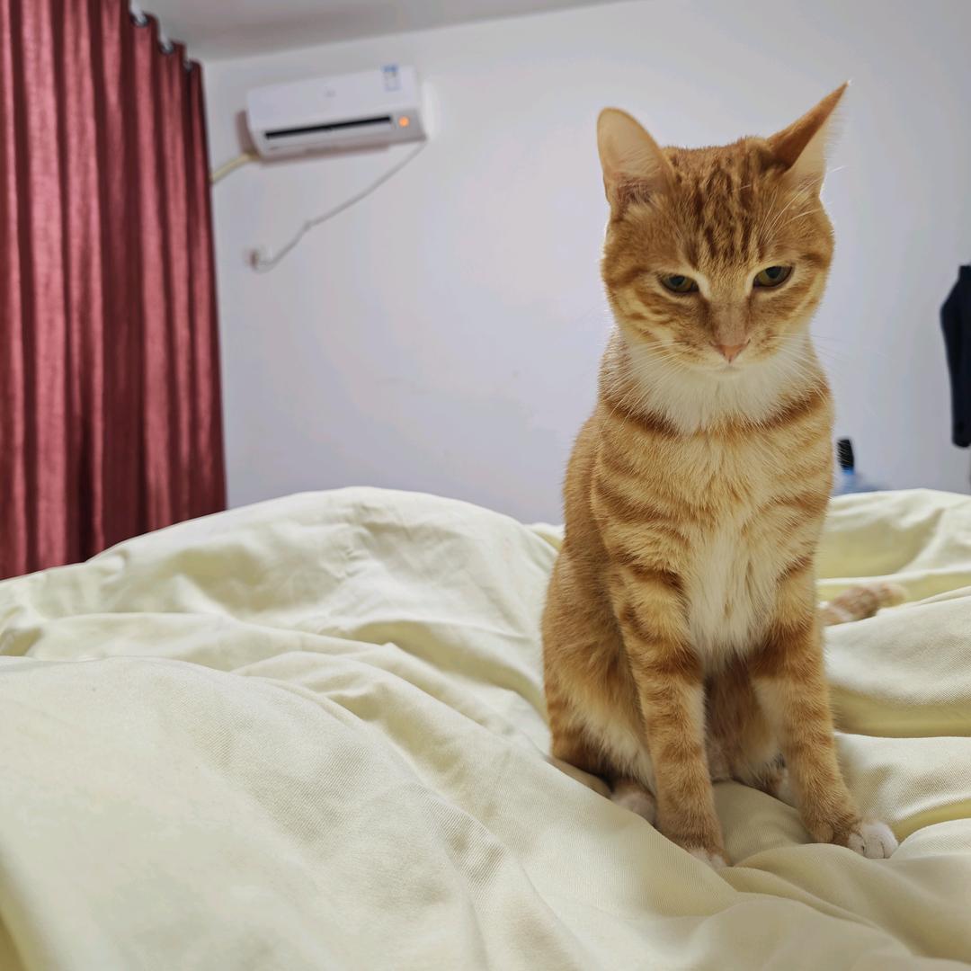 ¹周困⁸天的周