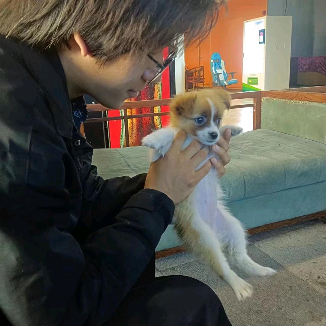 ￴￴￴ ￴￴ ￴￴ ￴￴￴ ￴