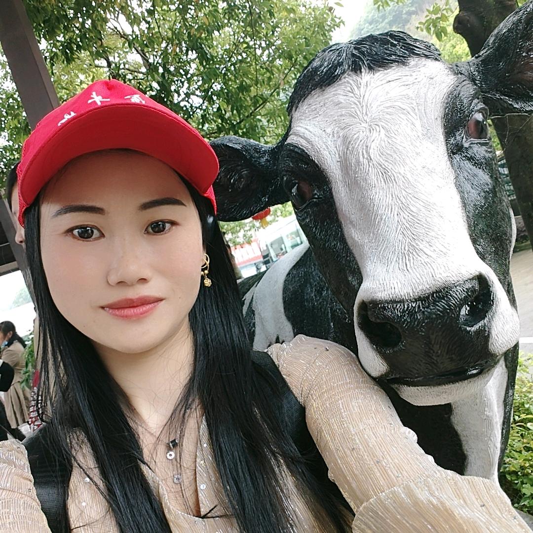 淡如清泉