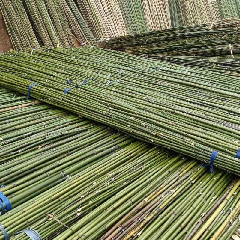 小山竹批发零售