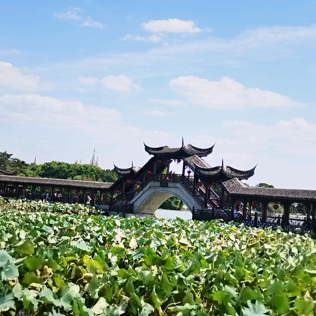 🥀小手ꦽ冰᭨凉ꦾᩚ࿐