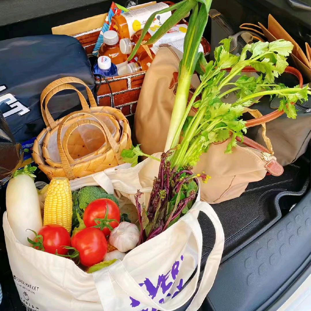 黄瓜黄瓜豆撅子