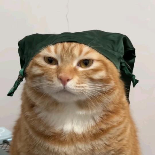 你管我叫啥
