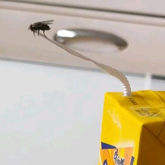 殇義