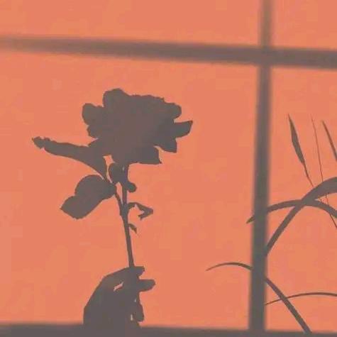 耳钉舞哥菲菲6896