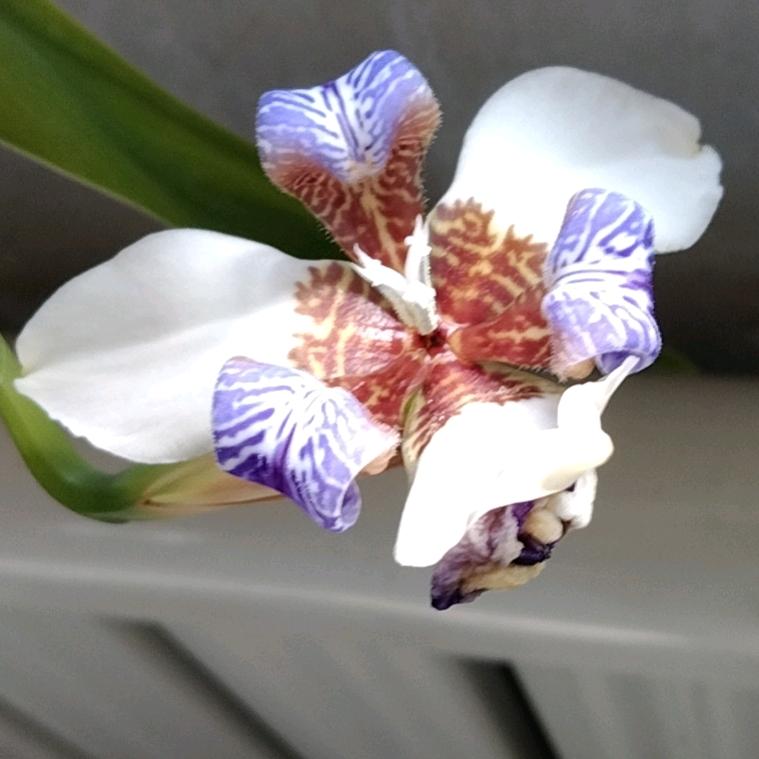 用户4177869280125赵四