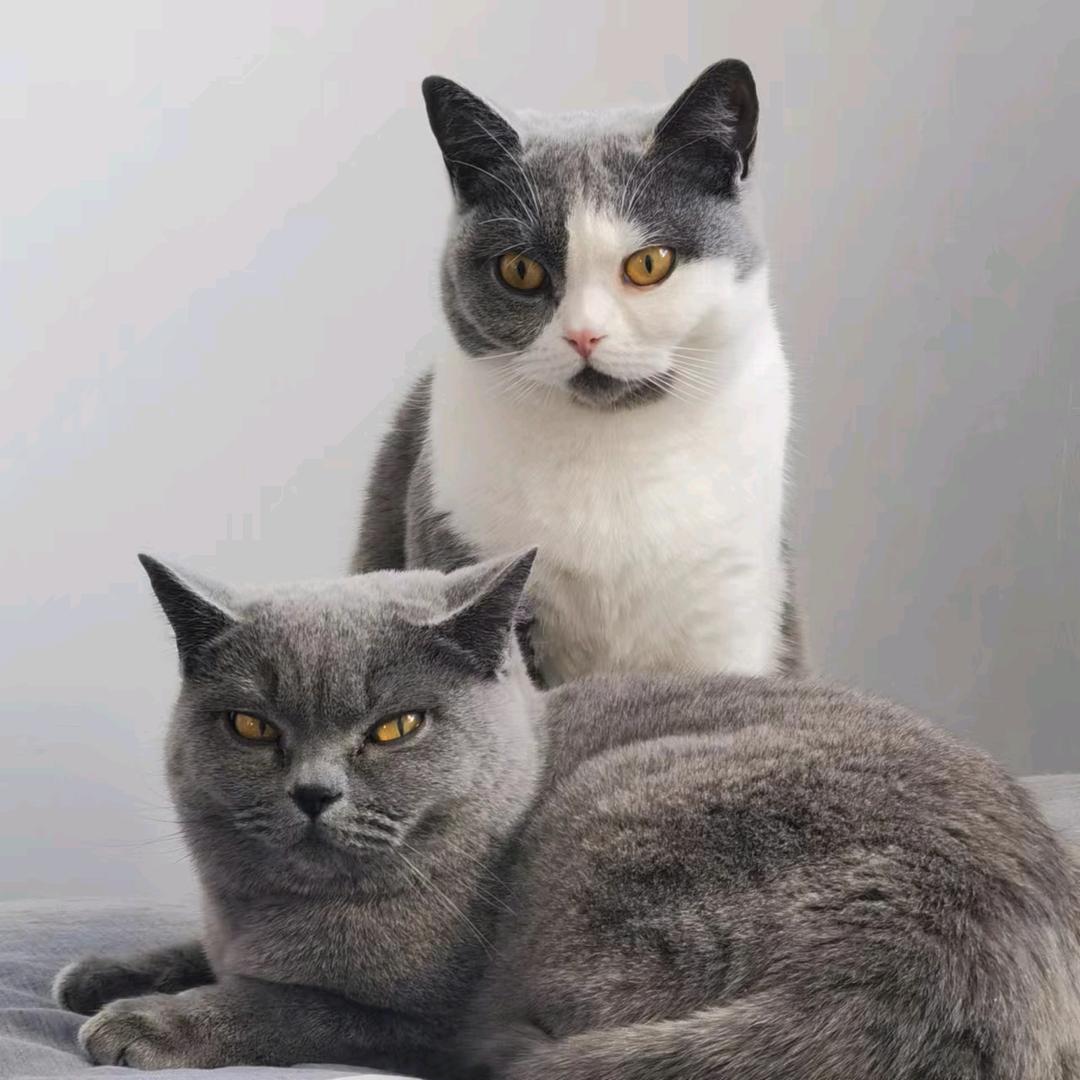 💥((🔥80的钱多多🔥))💥