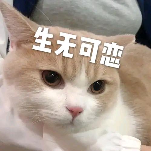 ༺百༒毒༻bm=有幸遇见你.沐/专属版