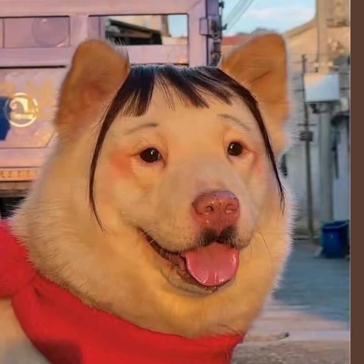 陈大帅文化传媒