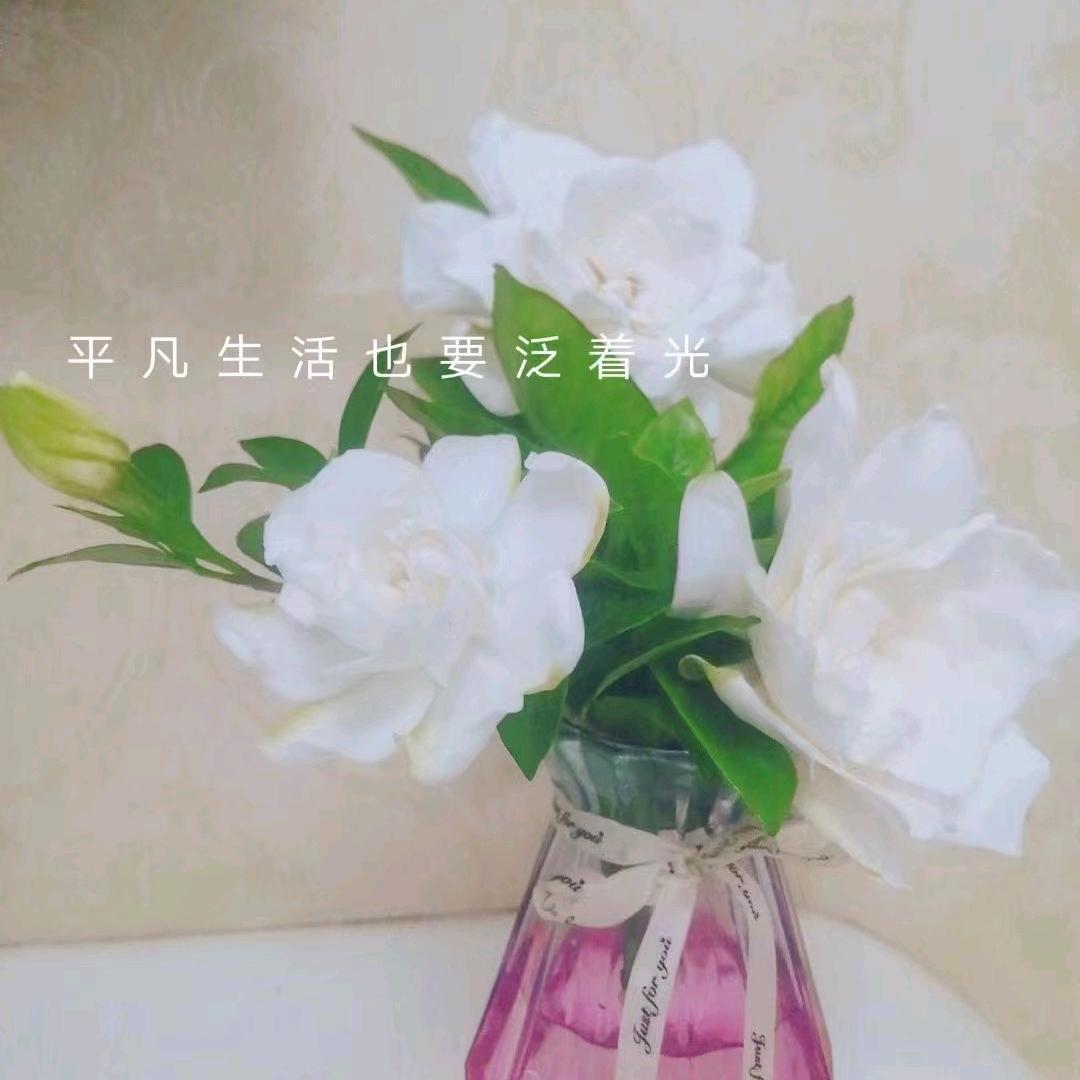 承诺吖