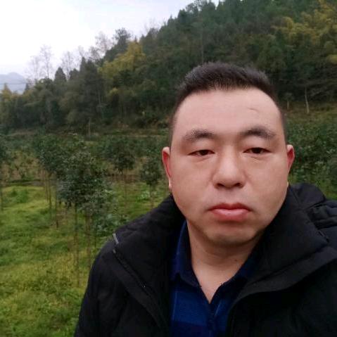 沈哥