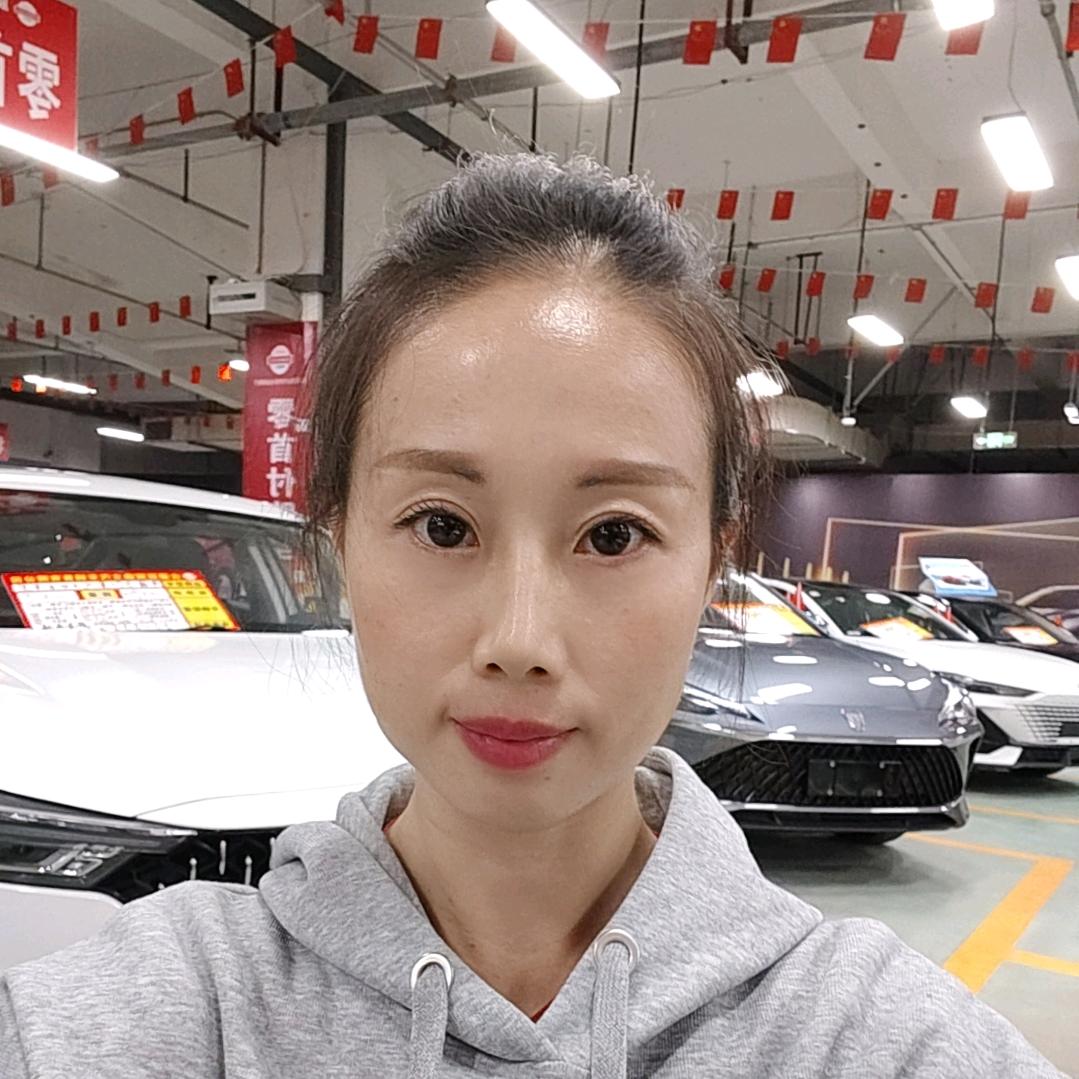 辰辉鼎立汽车-小赖