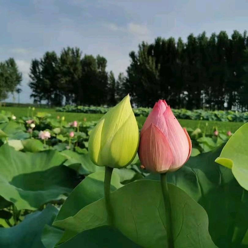碧水蓝天