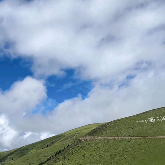 上海大馄饨官方号