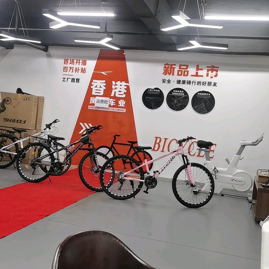 自行车源头工厂-尹玥锦商行