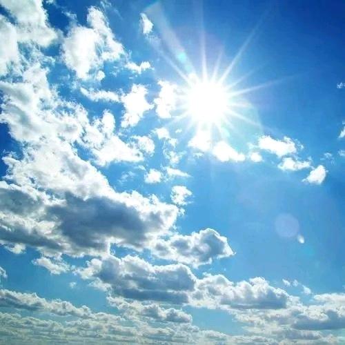 塔防精灵-翻车刘德华