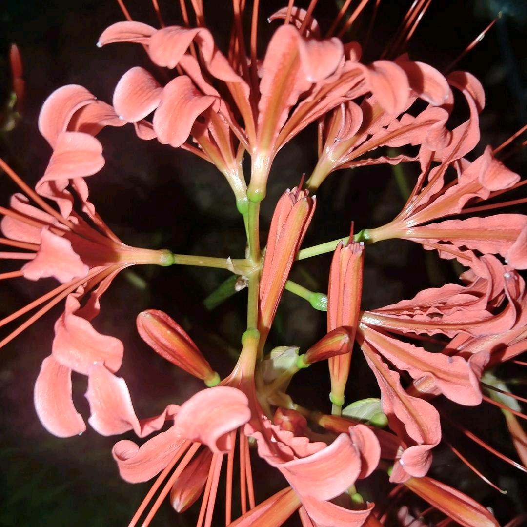 心已冰封💔💔❣️❣️🈳