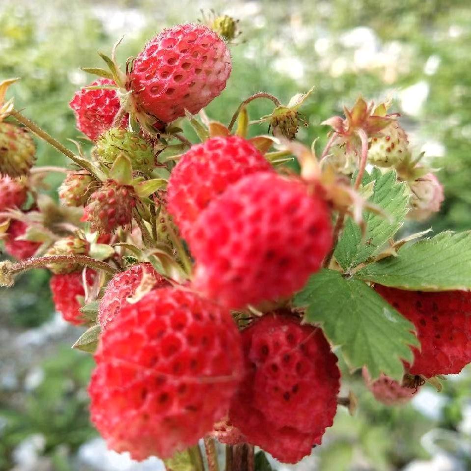 从此一帆风顺💰财源广进