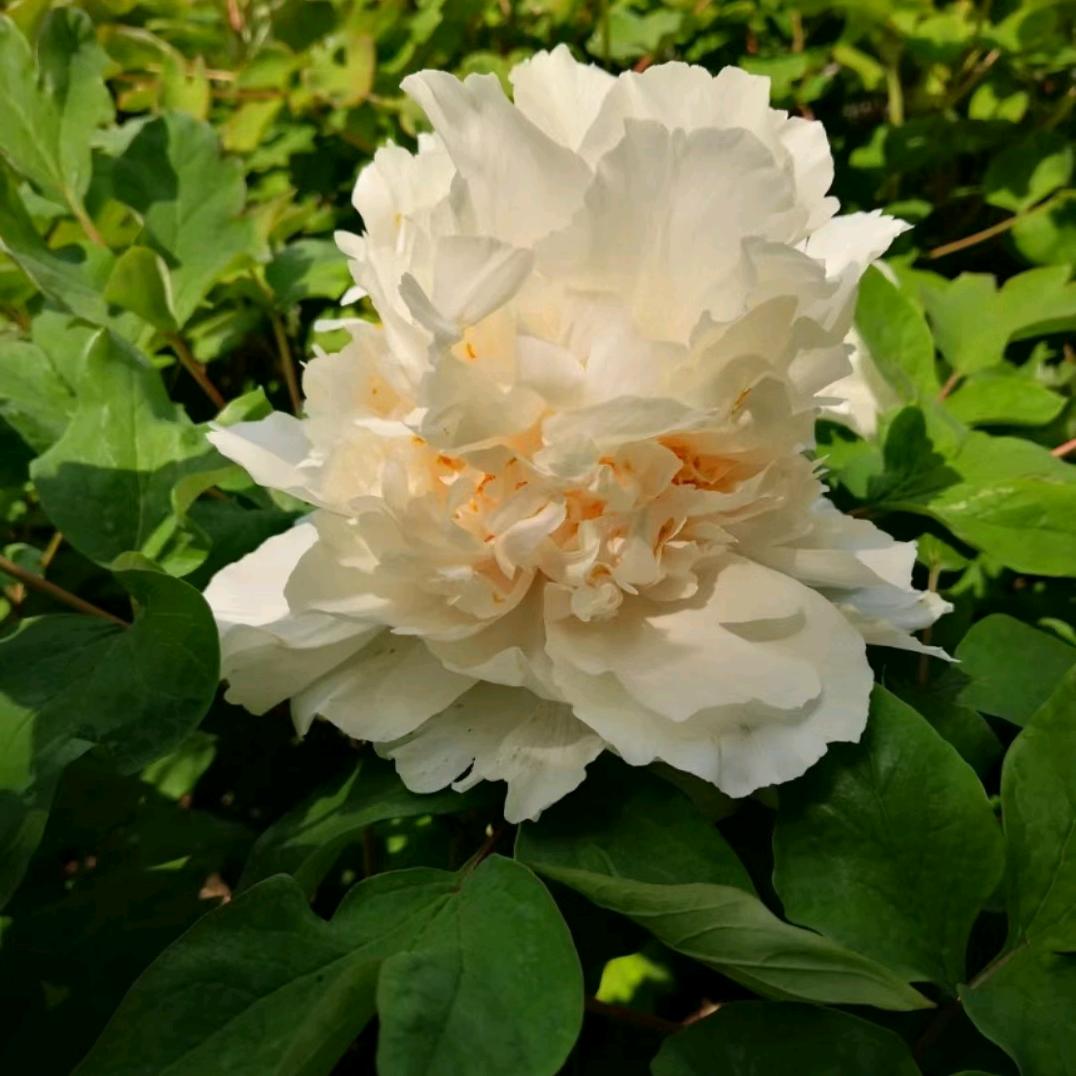 洛阳乐丰民宿丽姐