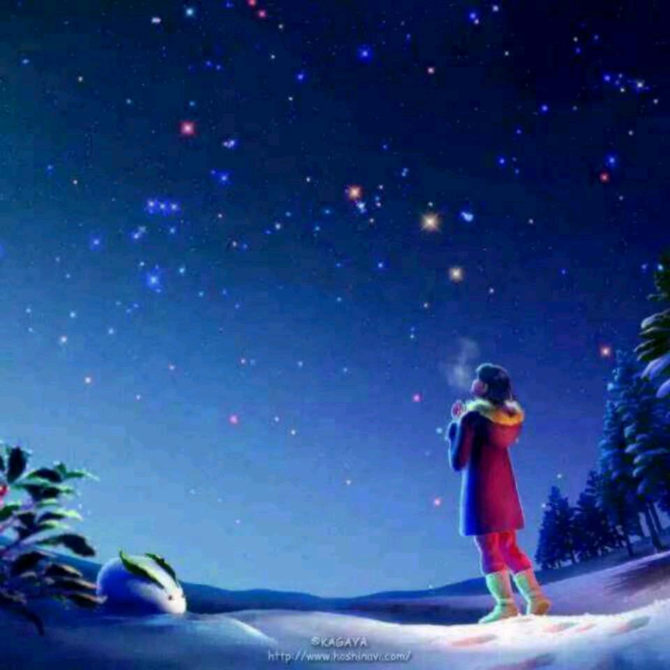 如梦✨