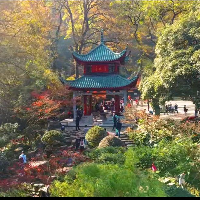 大金毛学魏晋小楷（打基础中）