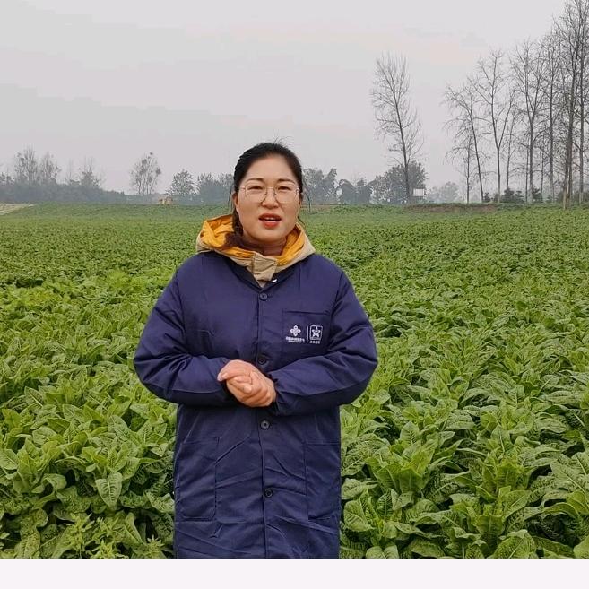 帝一稼-杨姐说农