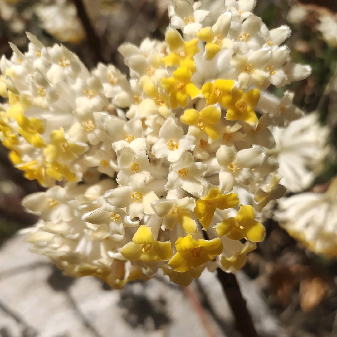 蹉跎了岁月辜负了年华💔