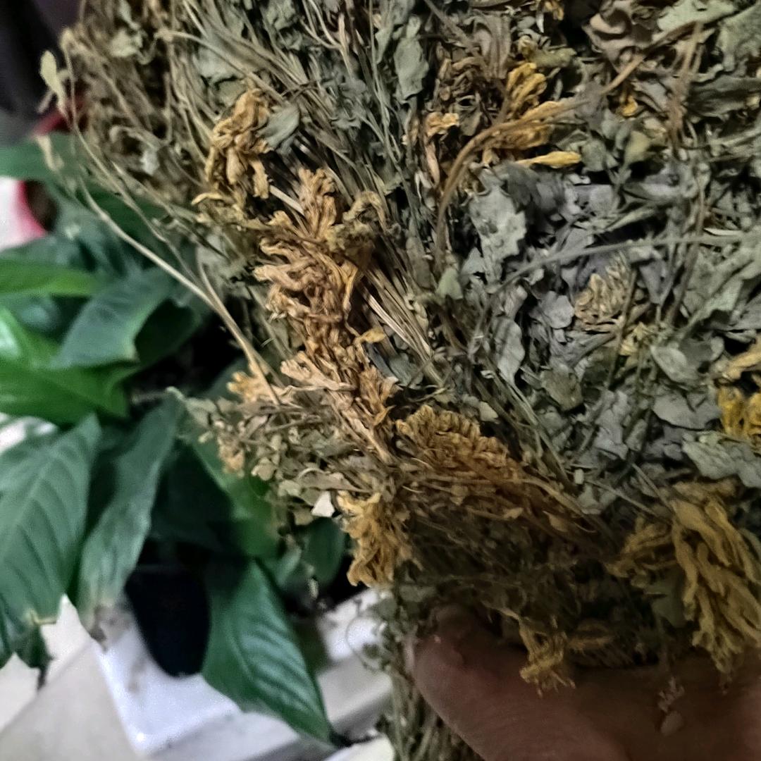 小青识百草