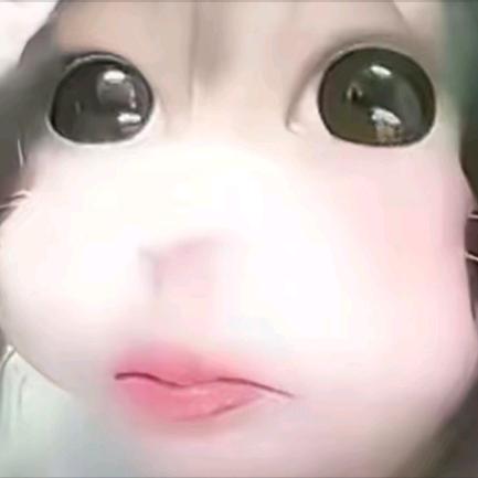 骑是马加奇