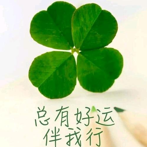 忘记 (/^时间^)✌