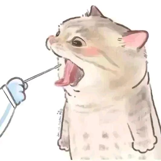 睇睇小猪猪