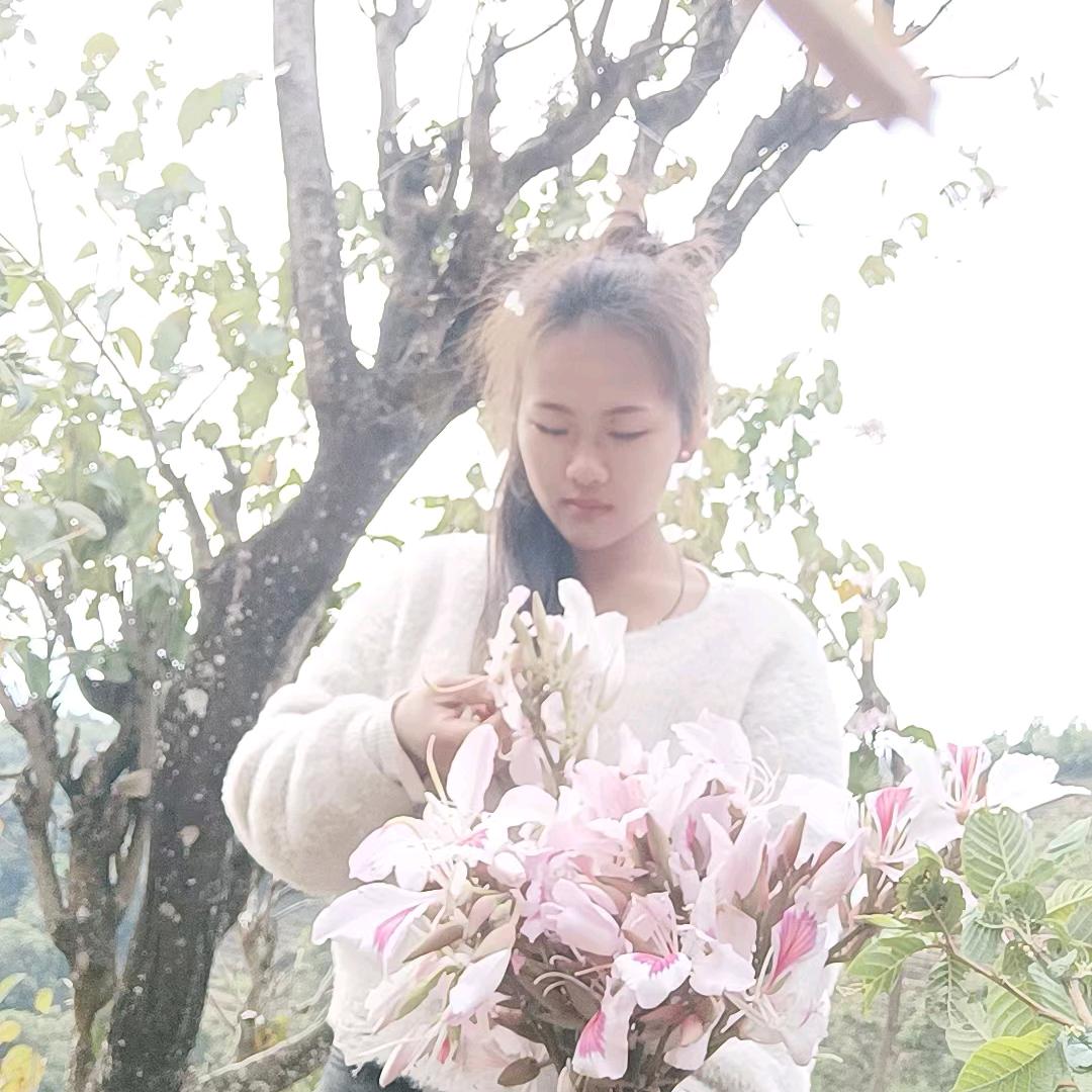 记录
