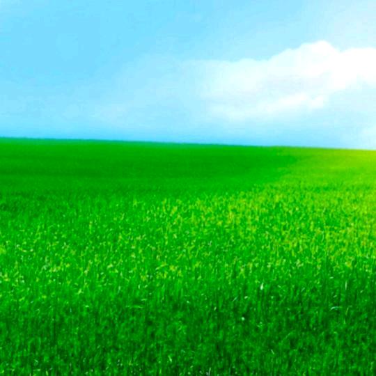 壮壮她叔🌻⁶²⁸