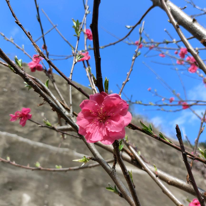 磨坪的山山水水