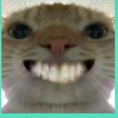 尼玛
