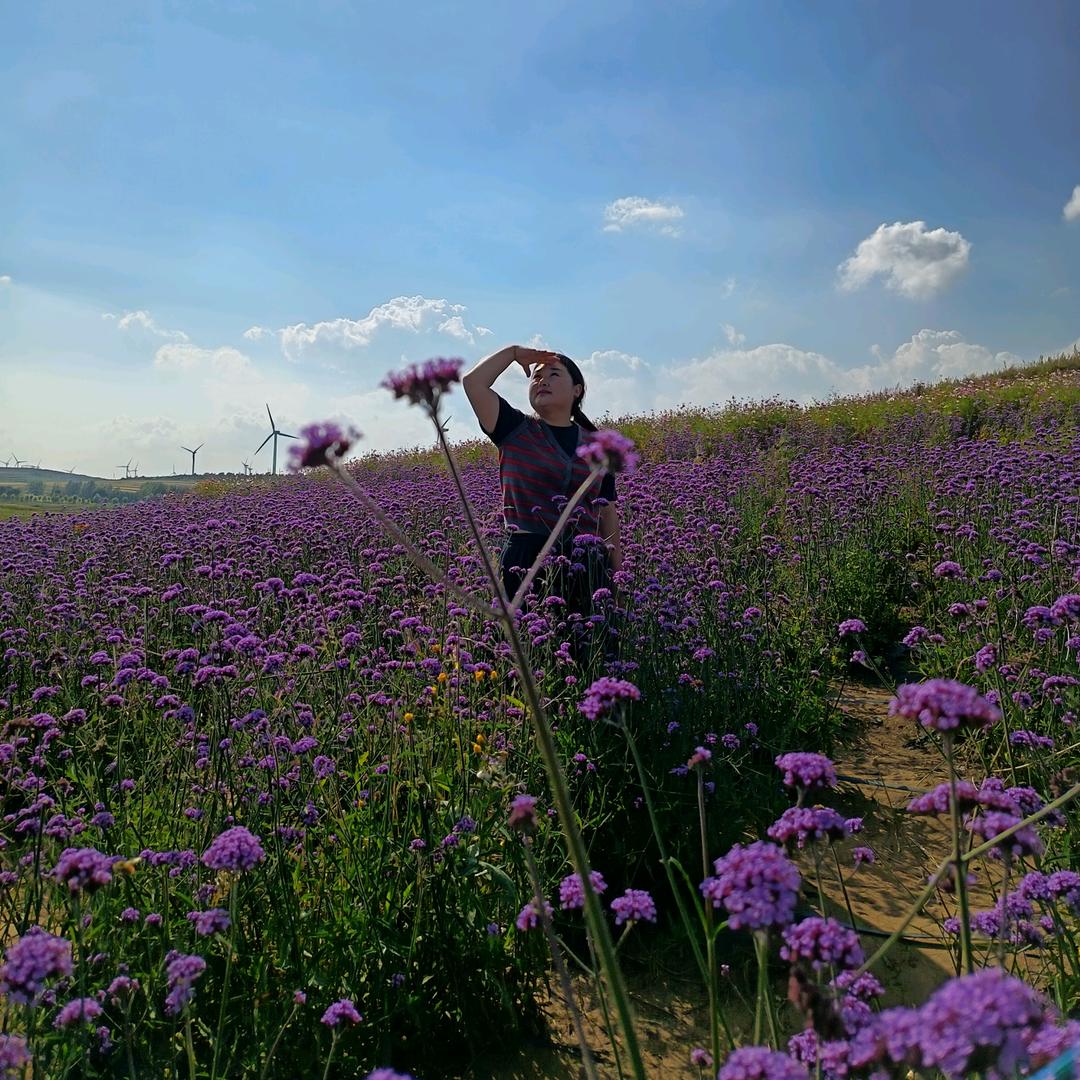 金娃娃母爱e百母婴-延津高寨店