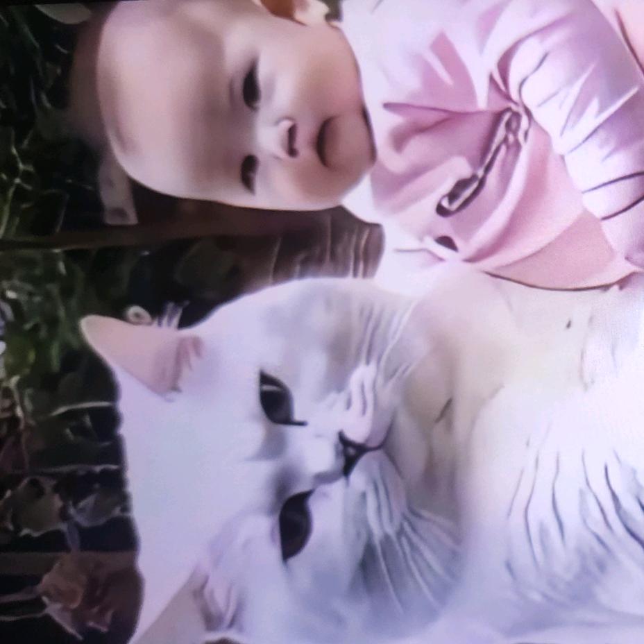 尘封已久的记忆