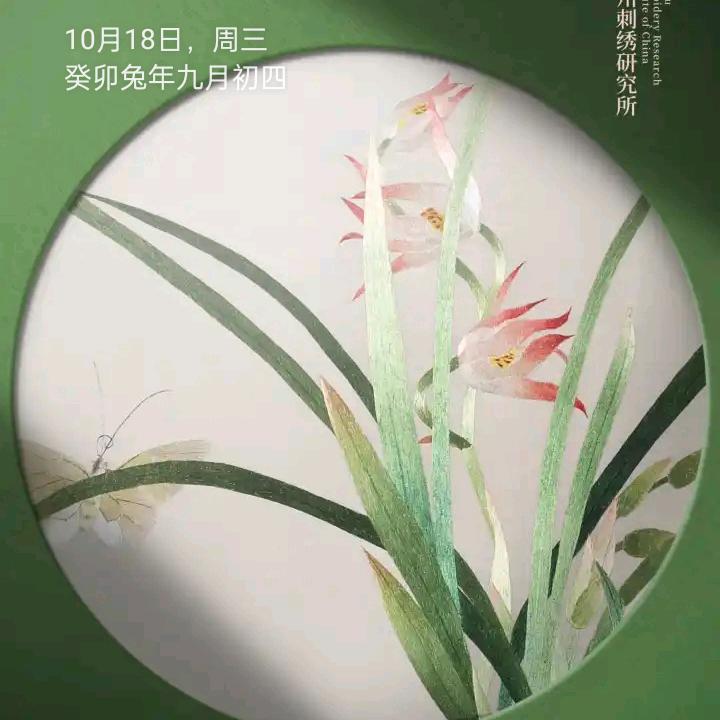 1882669998春天的时光