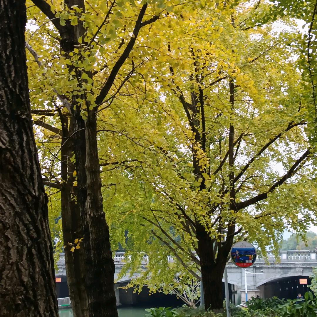 不忘来时路