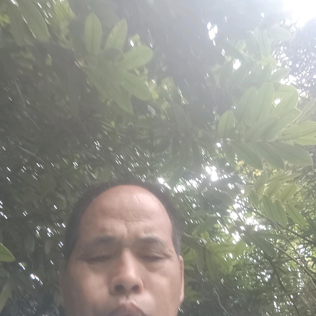 林硕强