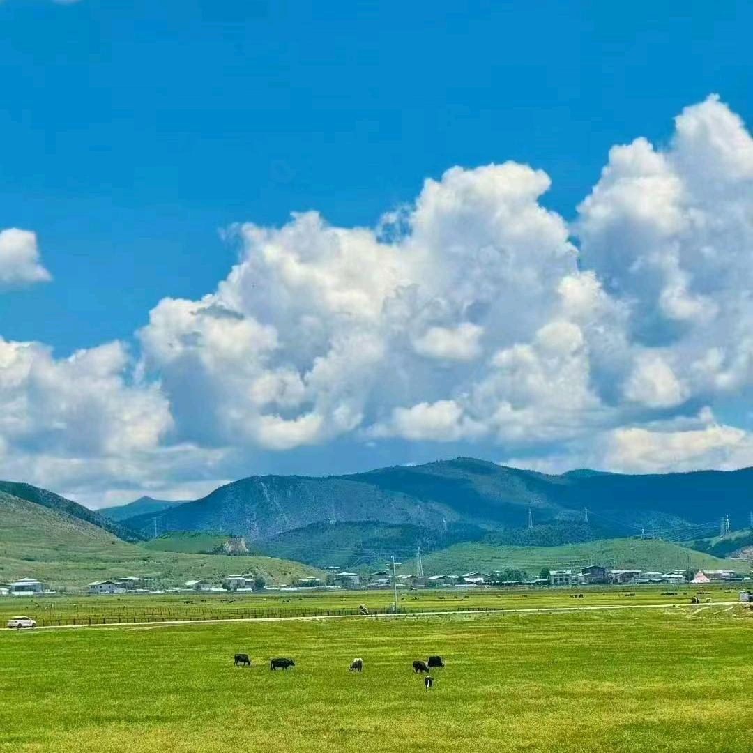 随心行定制咨询