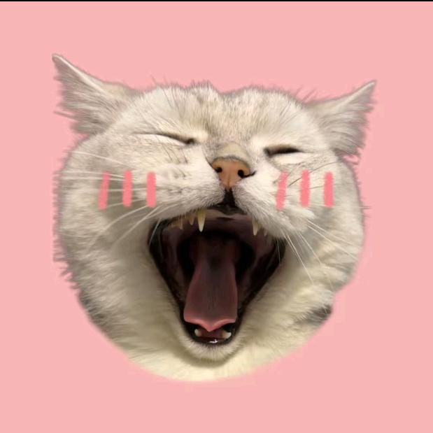 咩咩有一套（商务版）