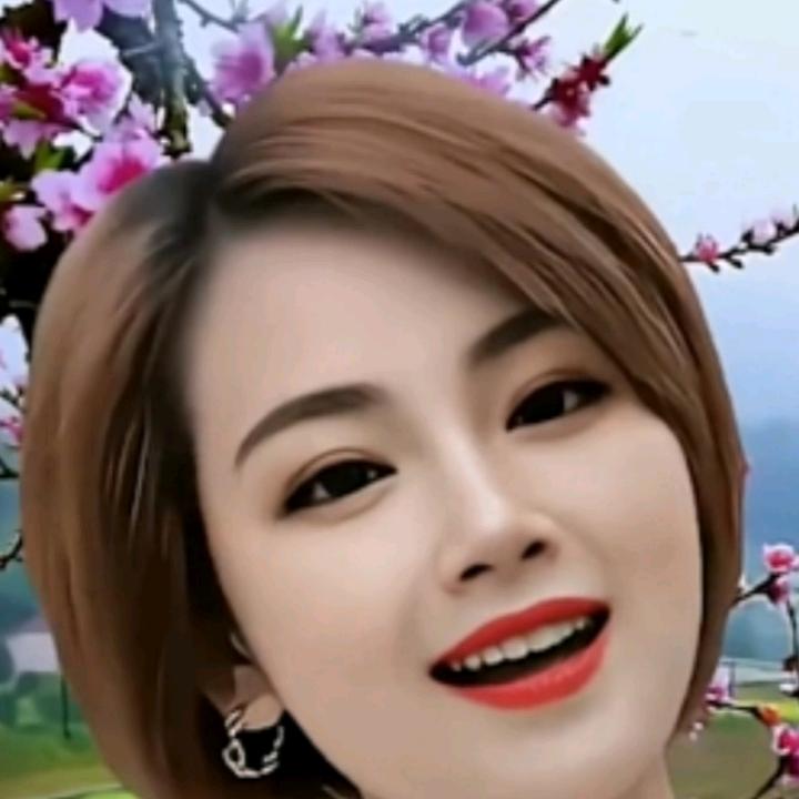 真情换真心