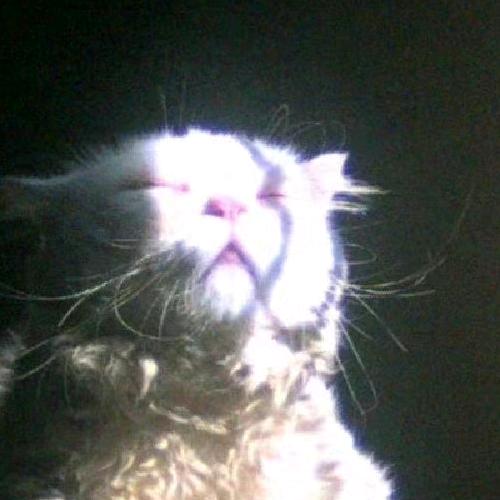 啊啾（希望雅思过6.5）